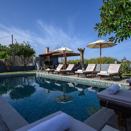 Platanias Villa Spyros Экстерьер фото